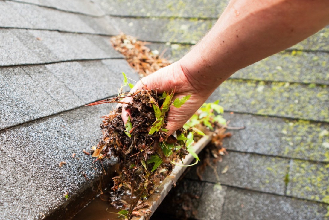 Clean Your Gutters and Downspouts